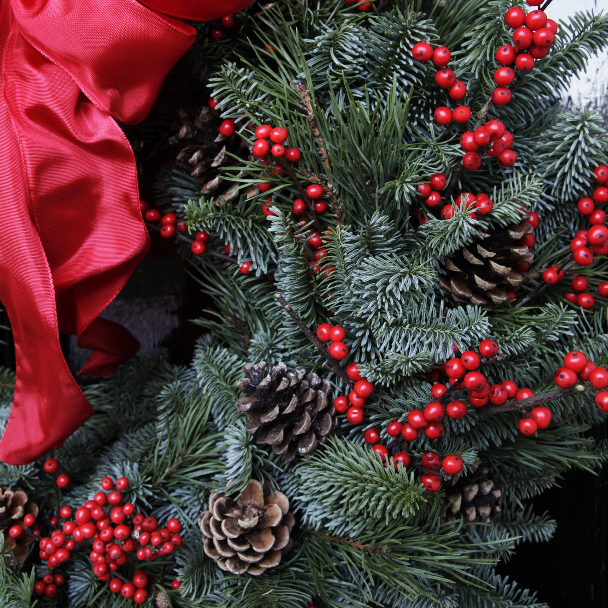 The Albert christmas door wreath Sample of The Luxury Albert Christmas door wreath, a fresh pine and red berry wreath available to order from Kensington Flowers London